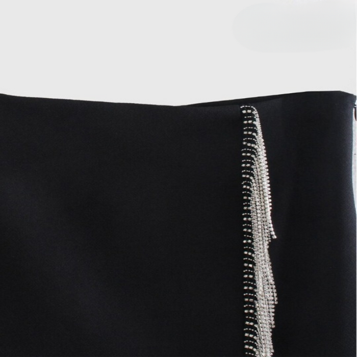 Vintage High Waist Side Zipper Mini Skirt